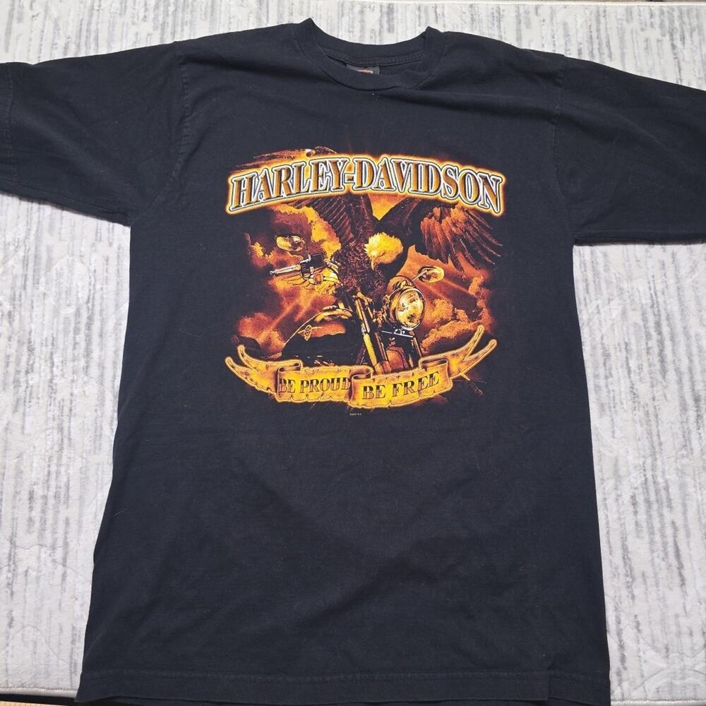 Vintage Y2K Harley Davidson Flame T-Shirt Men's 2007 Gettysburg, PA Sz L
